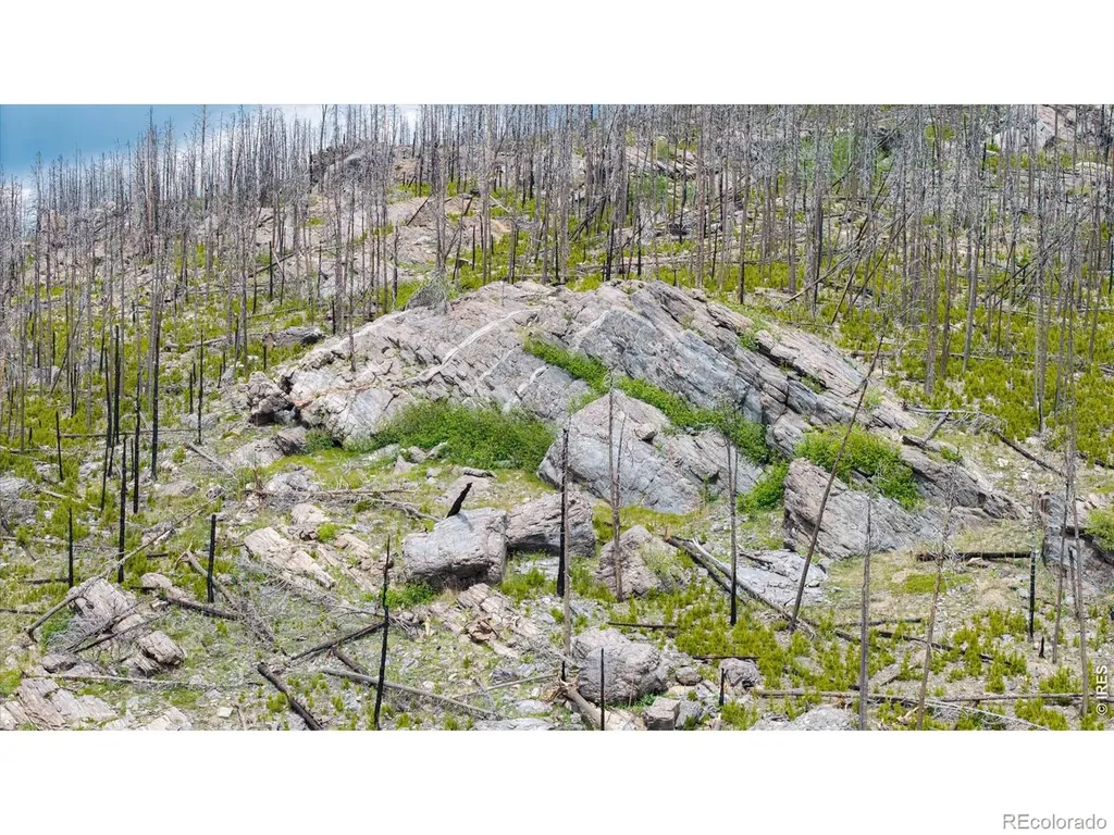 30 Sheep Horn Court Bellvue CO 80512