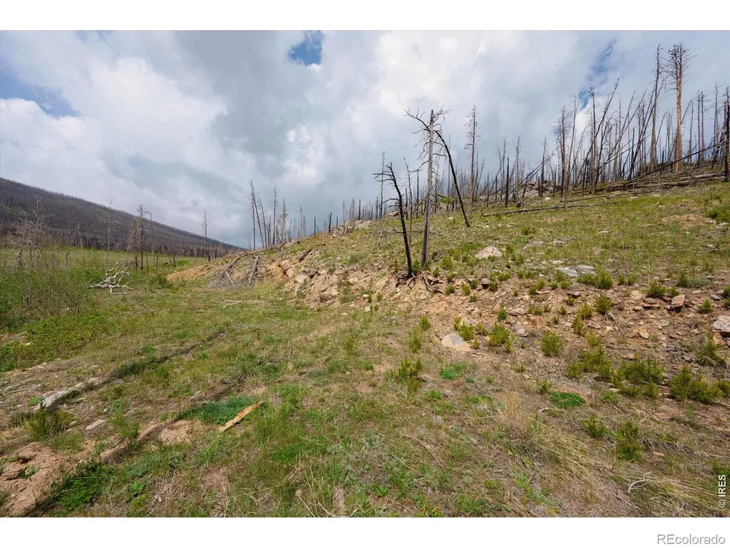 30 Sheep Horn Court Bellvue CO 80512