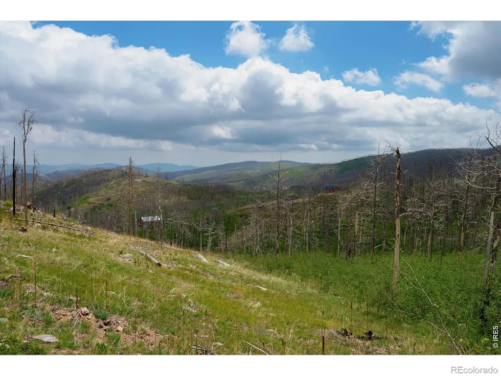 30 Sheep Horn Court Bellvue CO 80512