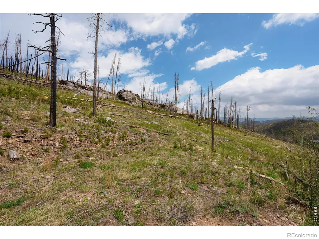 30 Sheep Horn Court Bellvue CO 80512