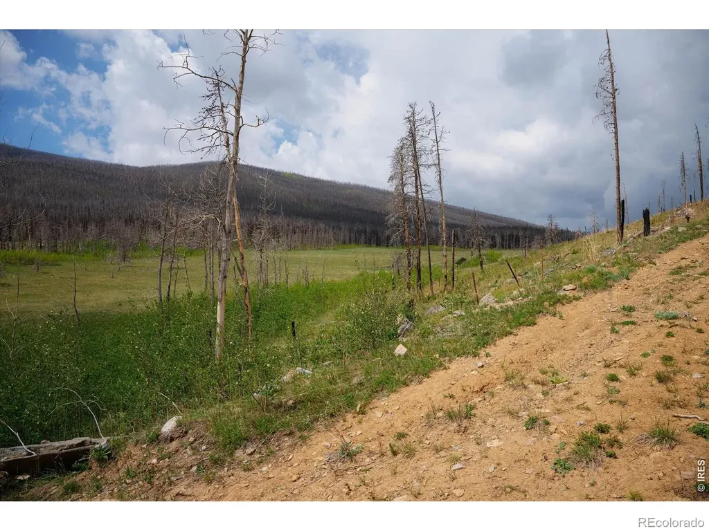 30 Sheep Horn Court Bellvue CO 80512