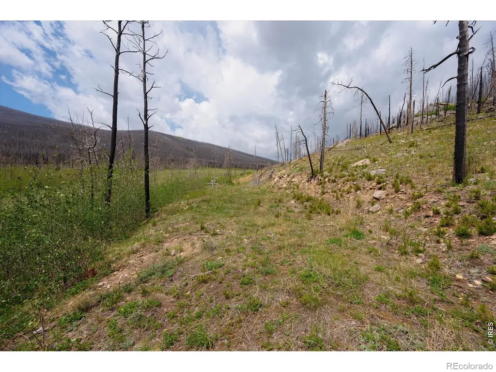 30 Sheep Horn Court Bellvue CO 80512