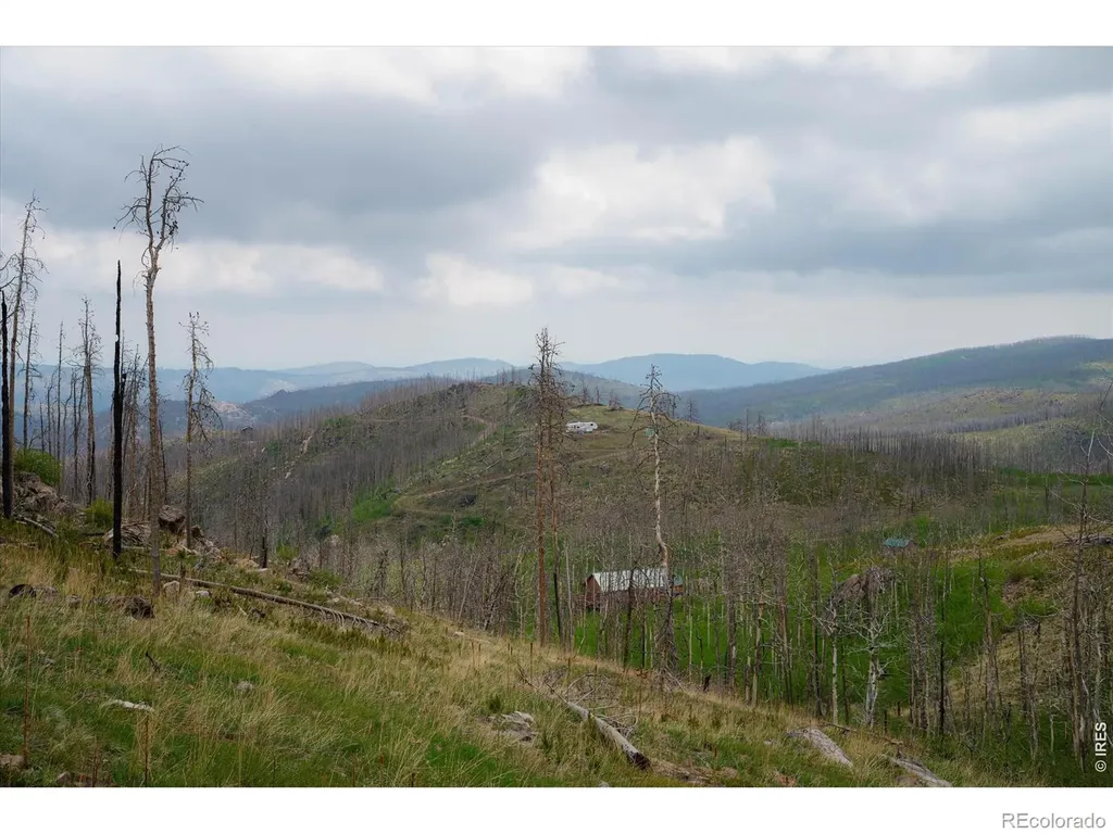 30 Sheep Horn Court Bellvue CO 80512
