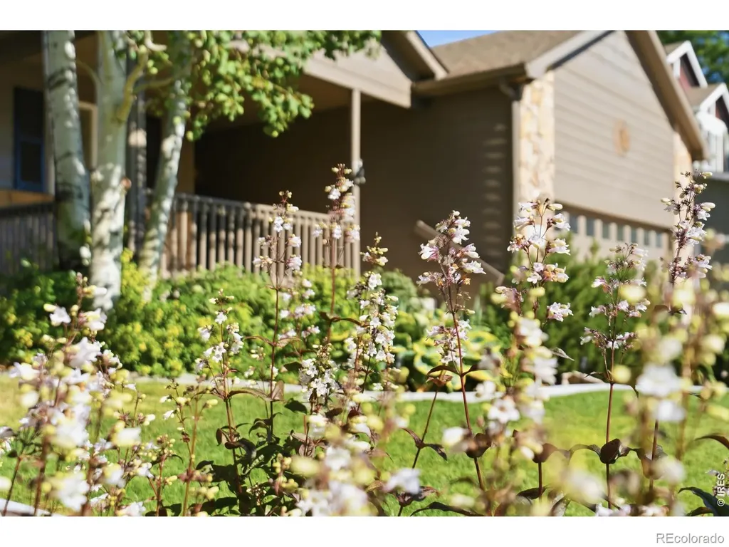 277 Sand Grouse Drive Loveland CO 80537