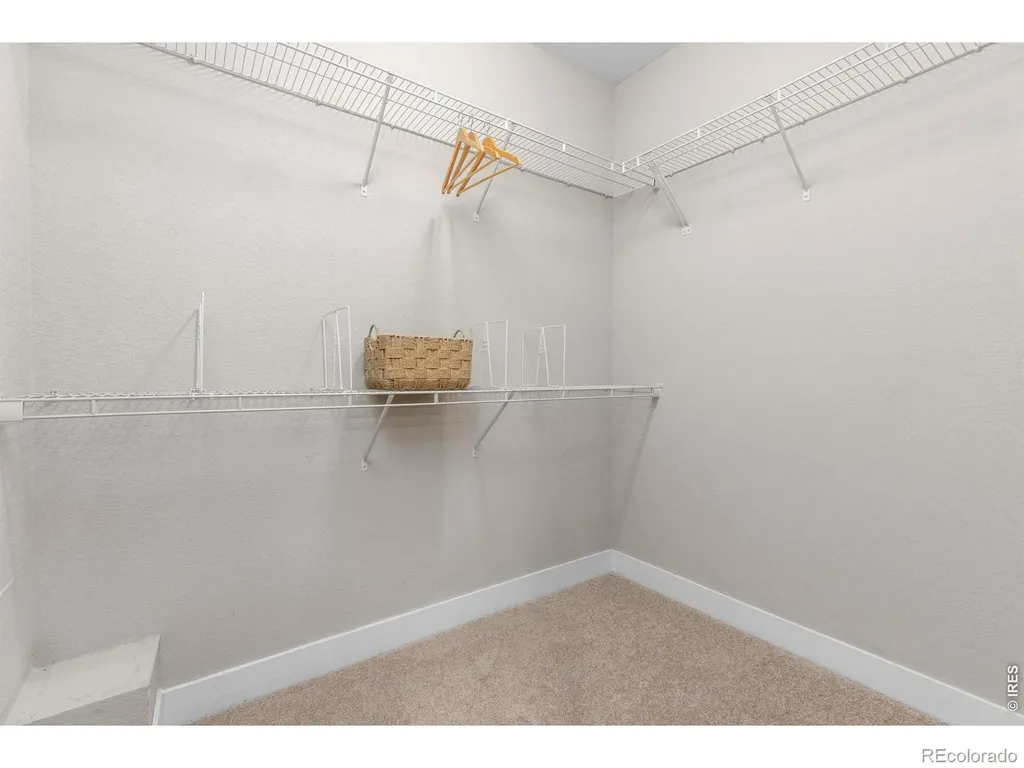 653 Grandview Mdws Drive Longmont CO 80503