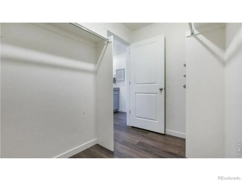 5740 Gelbray Place Windsor CO 80528