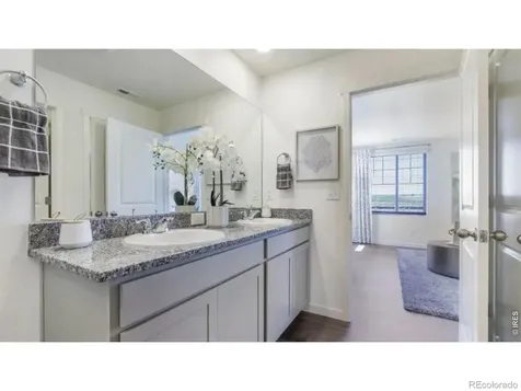 5740 Gelbray Place Windsor CO 80528