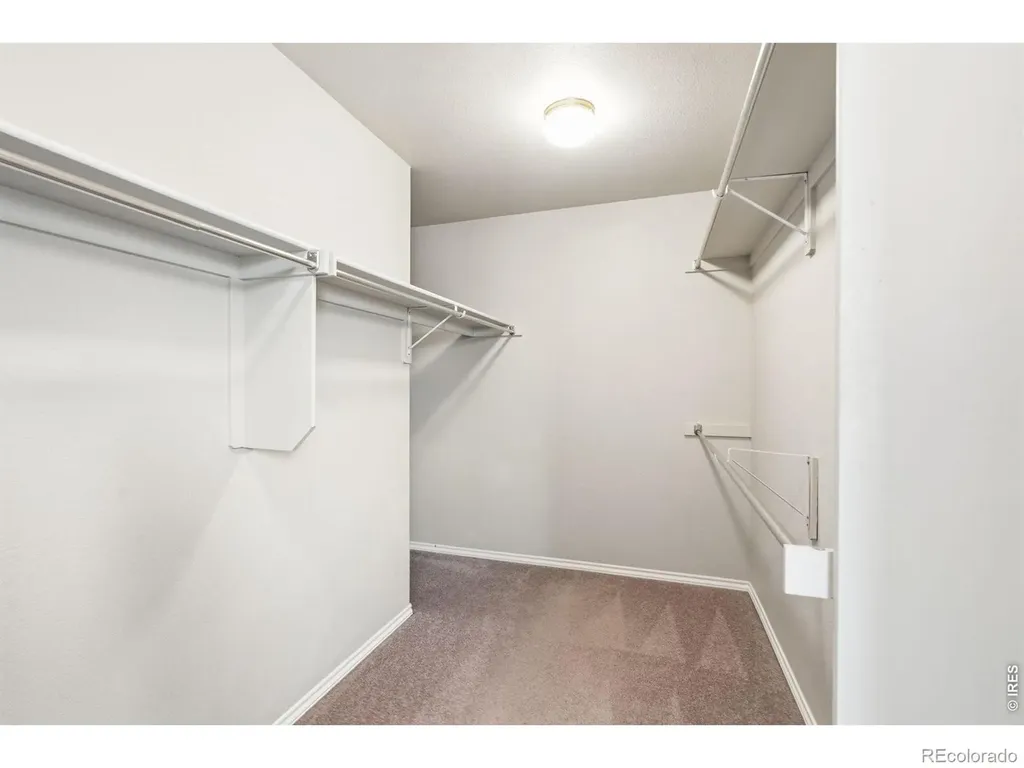 427 Houghton Court Fort Collins CO 80524