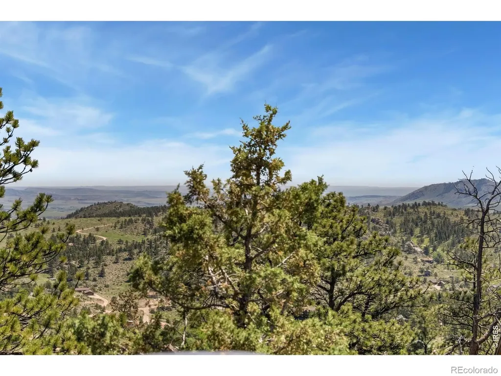298 Mount Massive Drive Livermore CO 80536