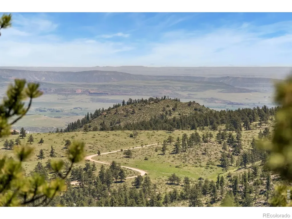 298 Mount Massive Drive Livermore CO 80536