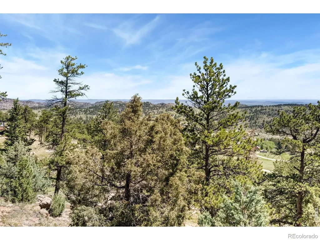 298 Mount Massive Drive Livermore CO 80536