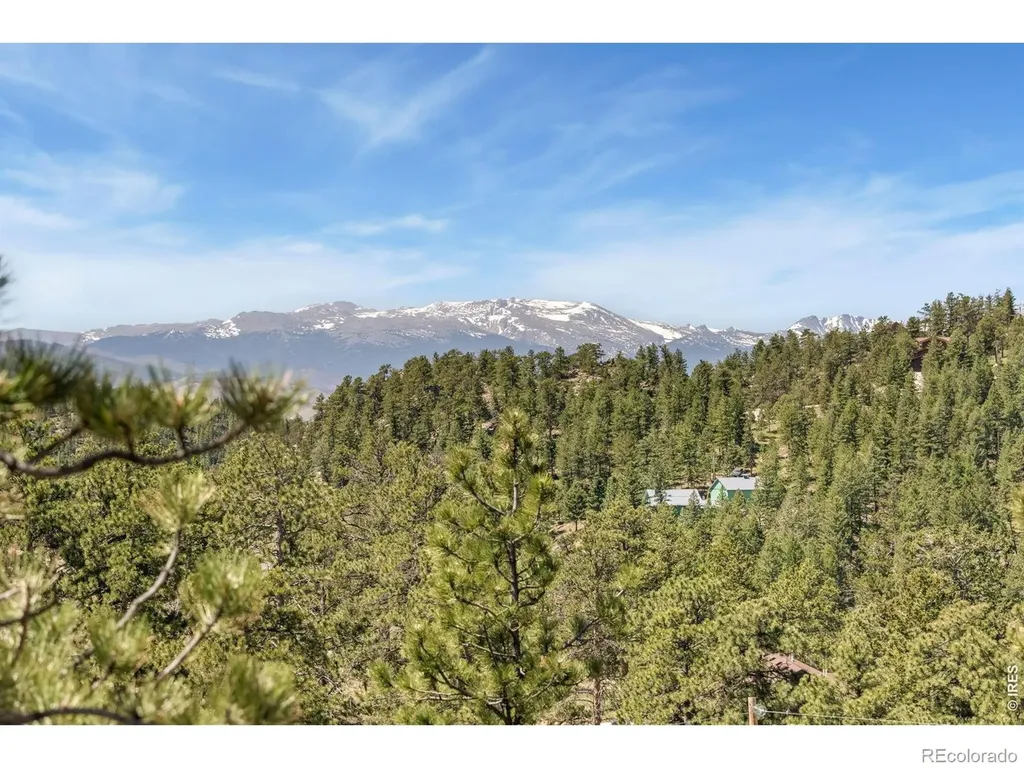 298 Mount Massive Drive Livermore CO 80536