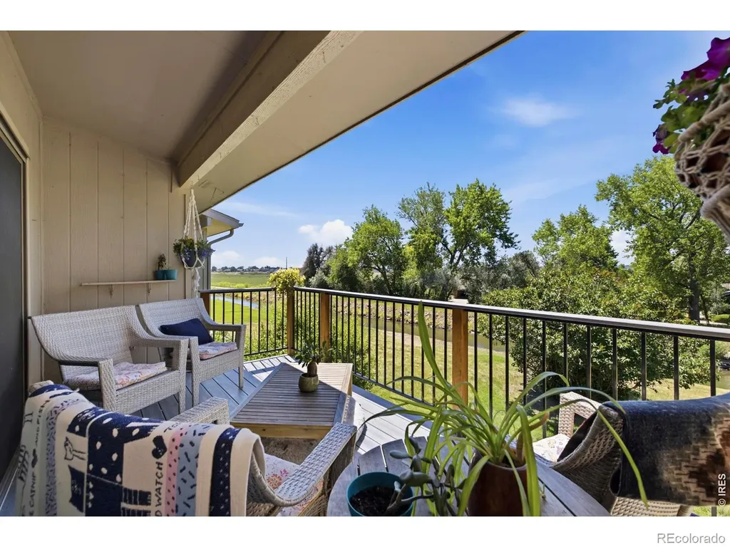 1643 Adriel Drive Fort Collins CO 80524