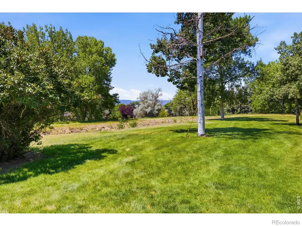 1643 Adriel Drive Fort Collins CO 80524