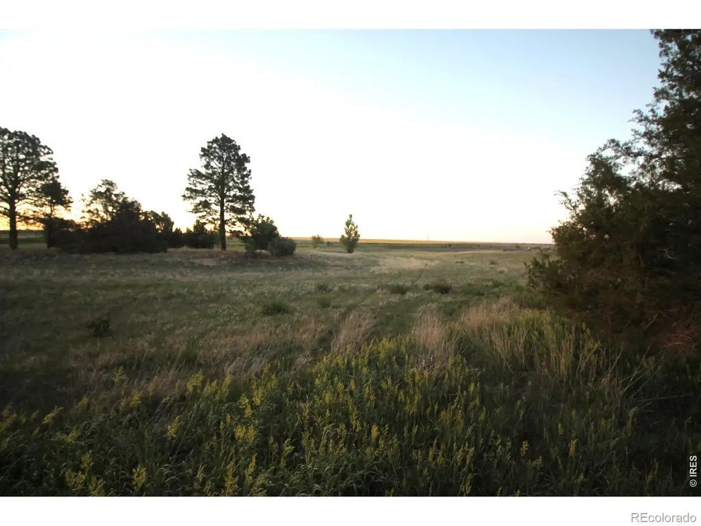 12224 County Road 79 Fleming CO 80728