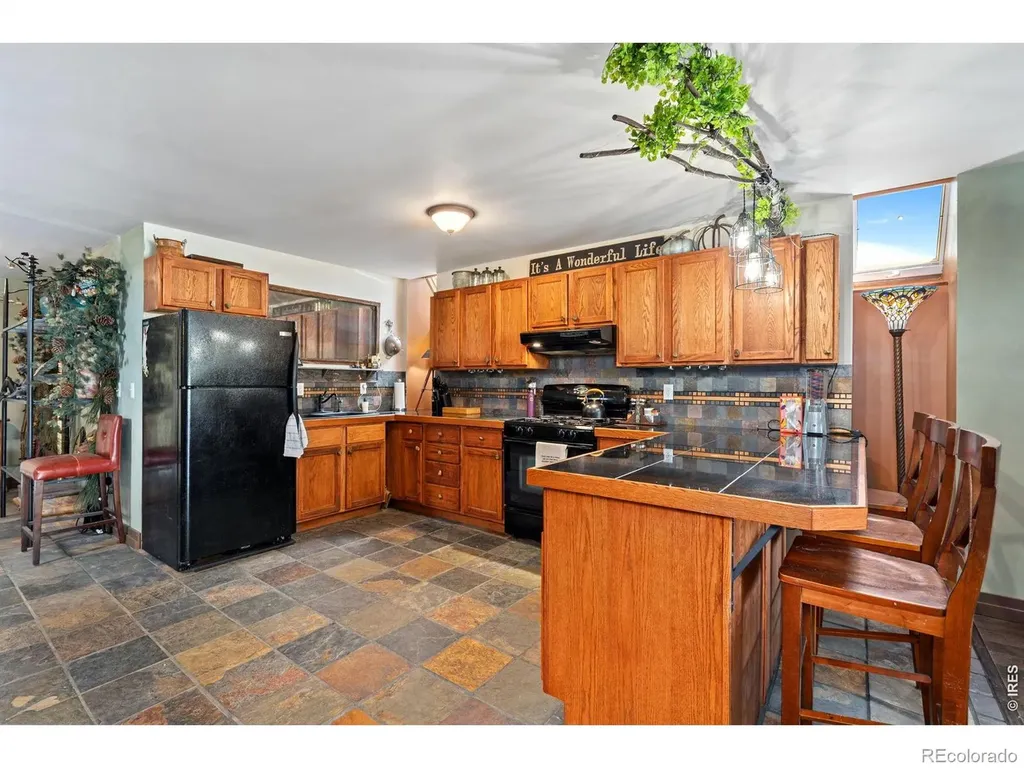 260 Coyote Holler Way Livermore CO 80536
