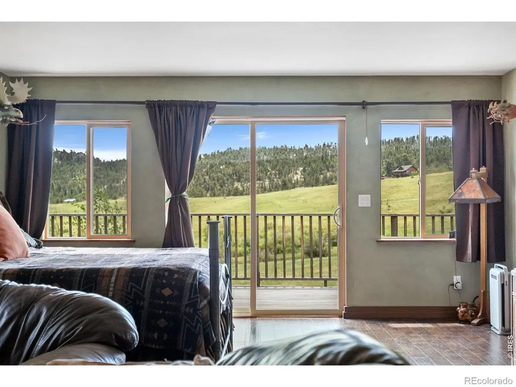 260 Coyote Holler Way Livermore CO 80536