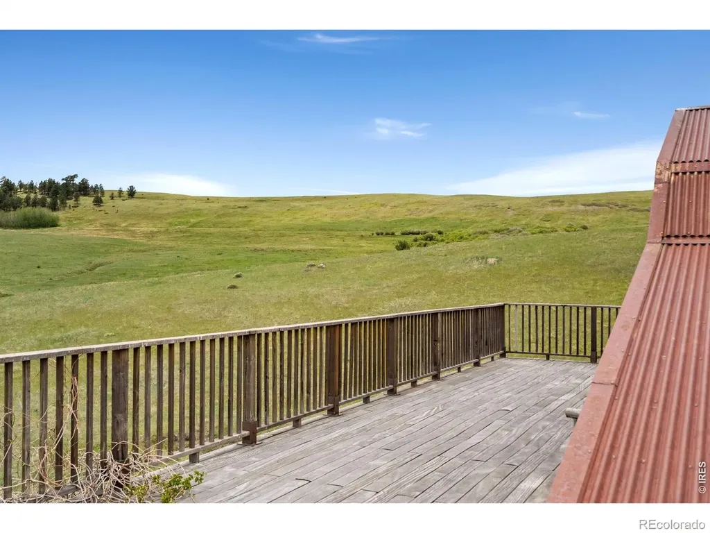 260 Coyote Holler Way Livermore CO 80536