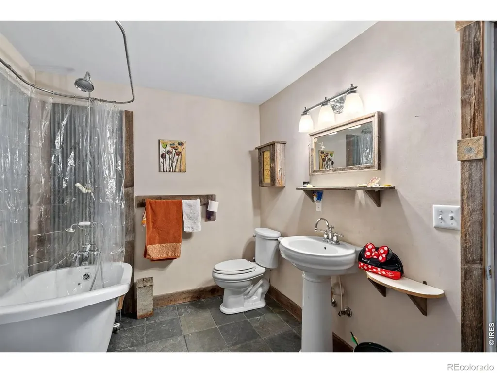 260 Coyote Holler Way Livermore CO 80536