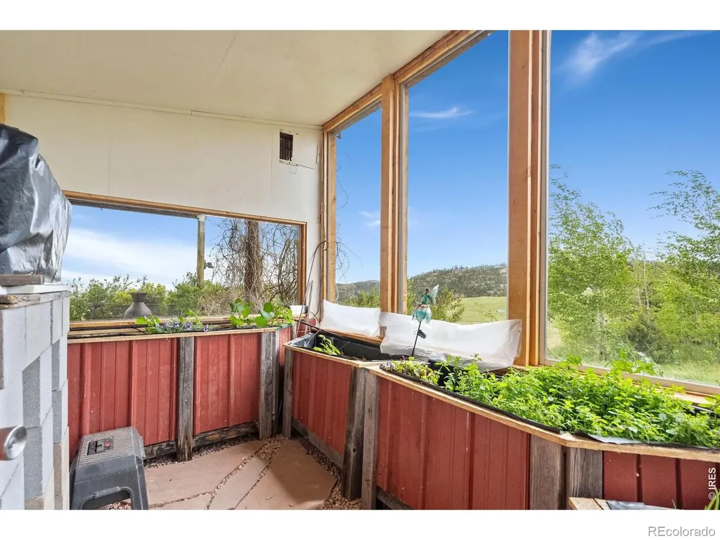 260 Coyote Holler Way Livermore CO 80536