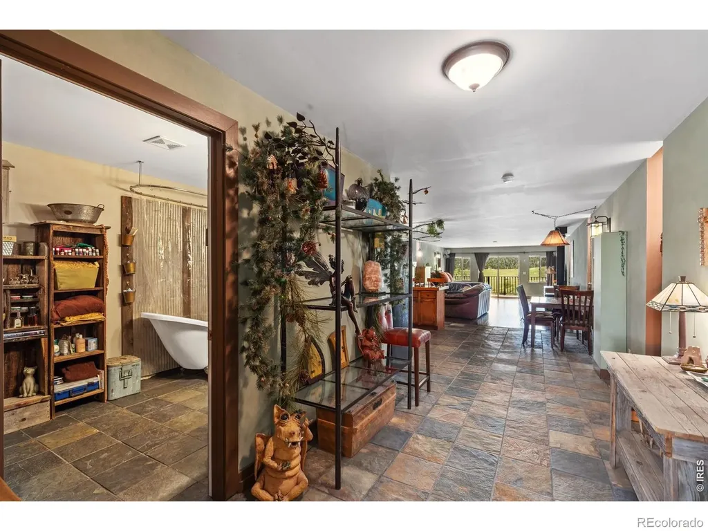 260 Coyote Holler Way Livermore CO 80536