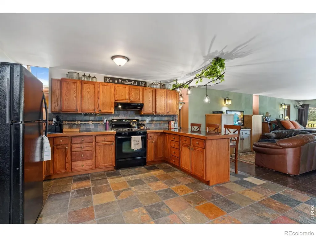 260 Coyote Holler Way Livermore CO 80536