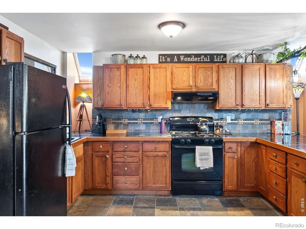 260 Coyote Holler Way Livermore CO 80536