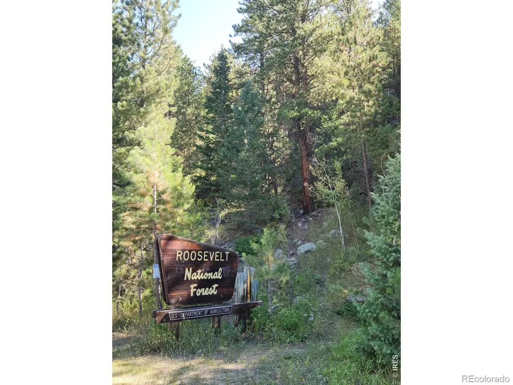 148 Big Pine Lane Drake CO 80515
