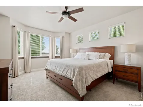 674 Vermilion Peak Drive Windsor CO 80550