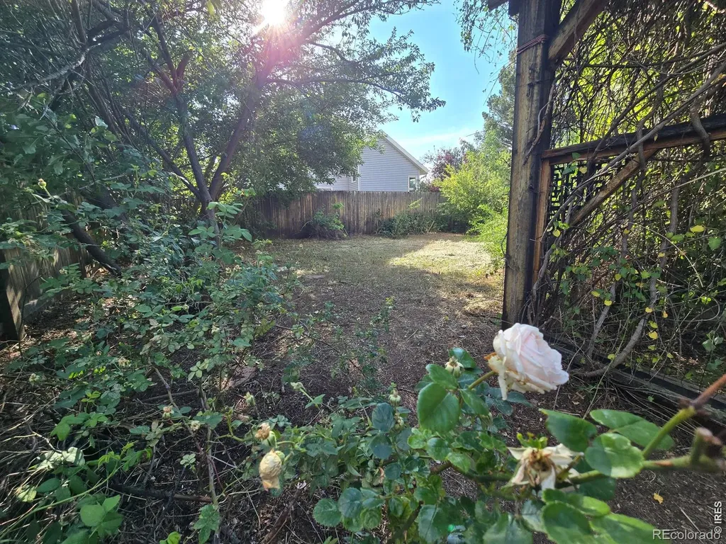 2419 Hollingbourne Drive Fort Collins CO 80526