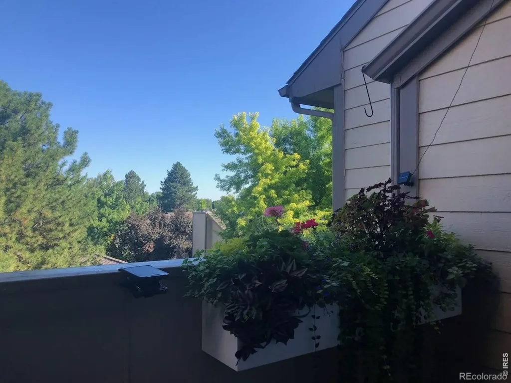 3465 Lochwood Drive Fort Collins CO 80525