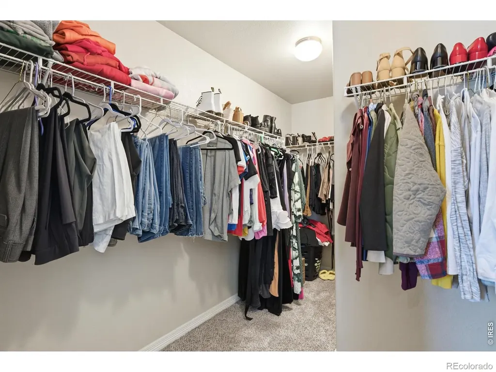 2710 Hydra Drive Loveland CO 80537
