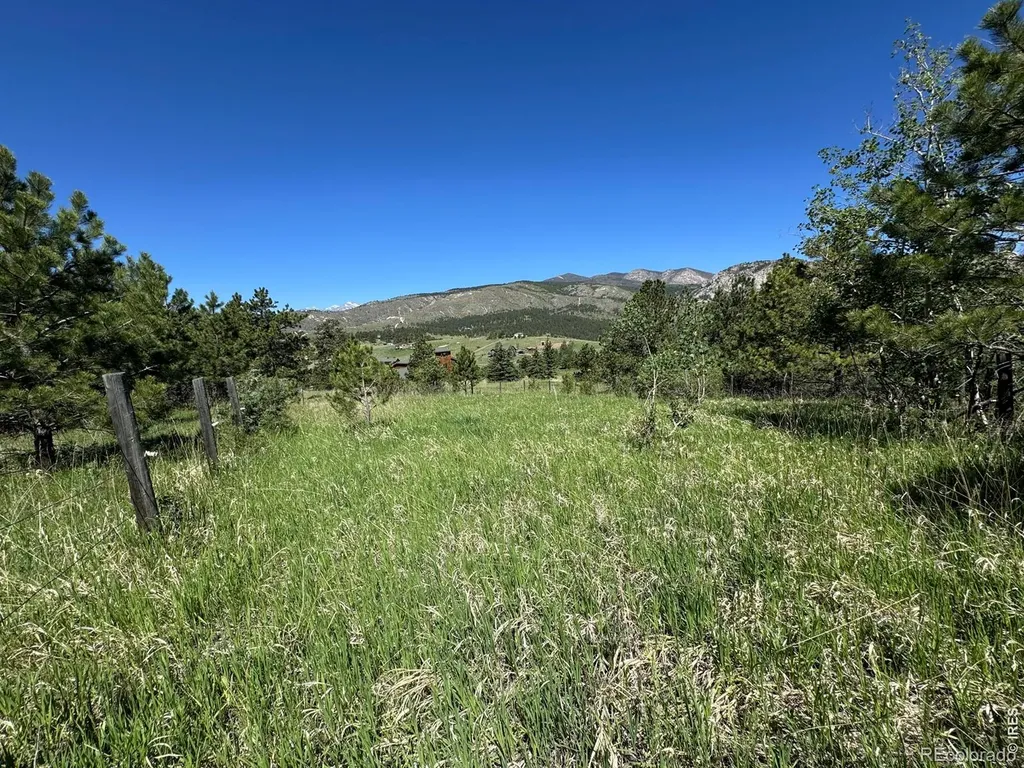 0 Palisade Mountain Drive Drake CO 80515