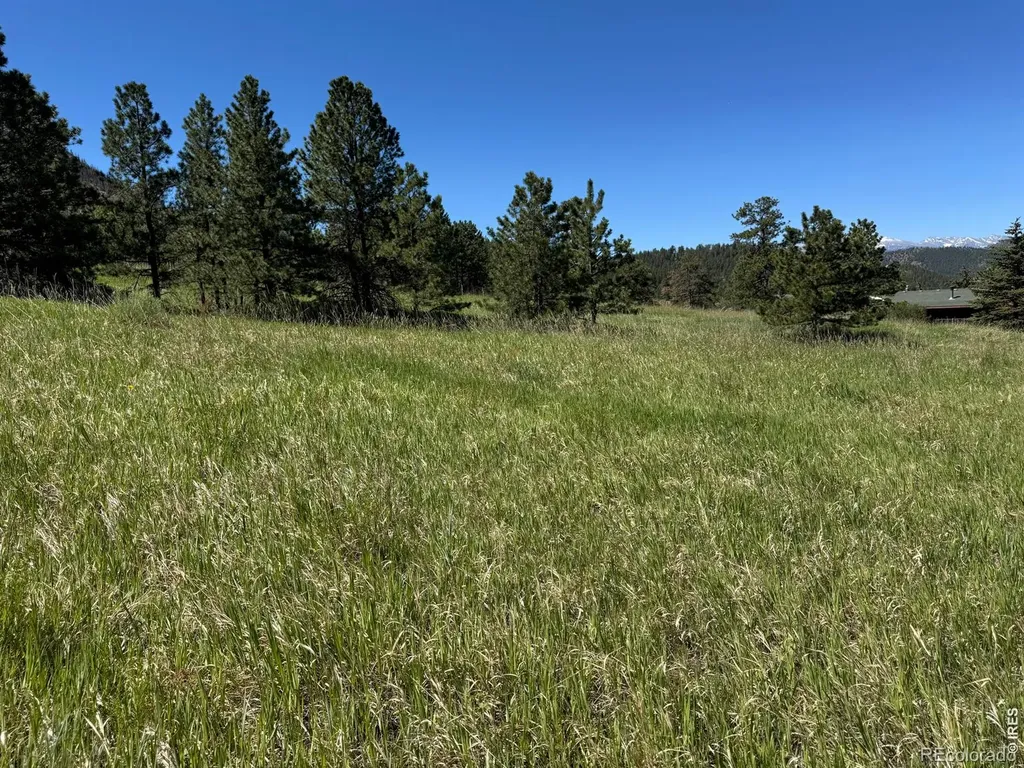 0 Palisade Mountain Drive Drake CO 80515