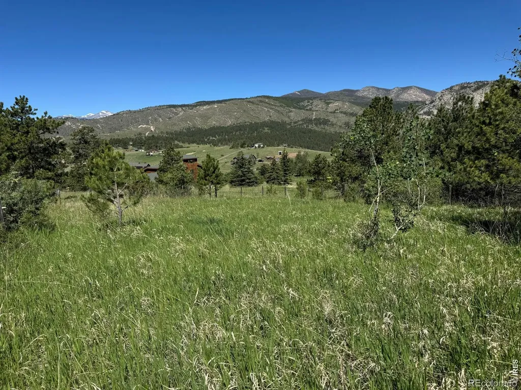 0 Palisade Mountain Drive Drake CO 80515