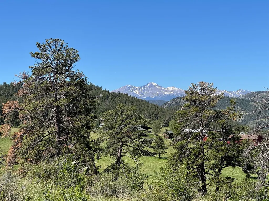 0 Palisade Mountain Drive Drake CO 80515