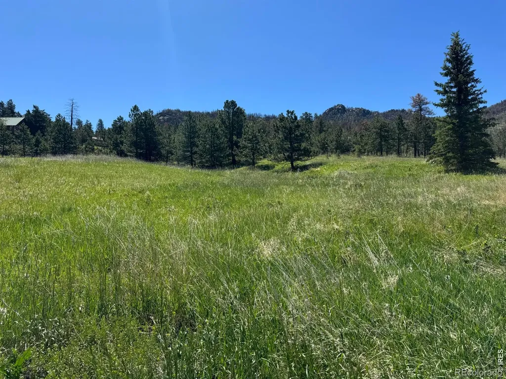0 Palisade Mountain Drive Drake CO 80515