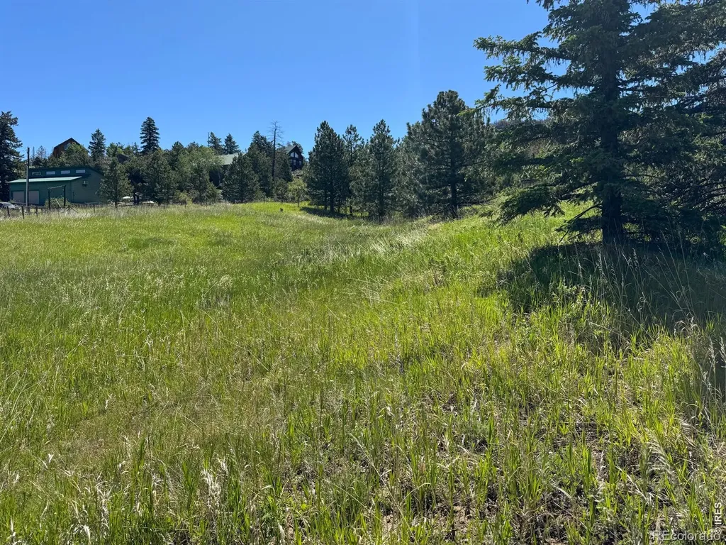 0 Palisade Mountain Drive Drake CO 80515