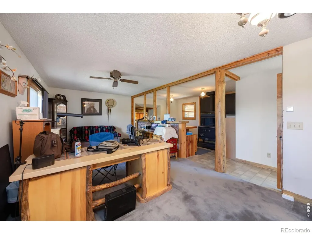 678 Palisade Mountain Drive Drake CO 80515