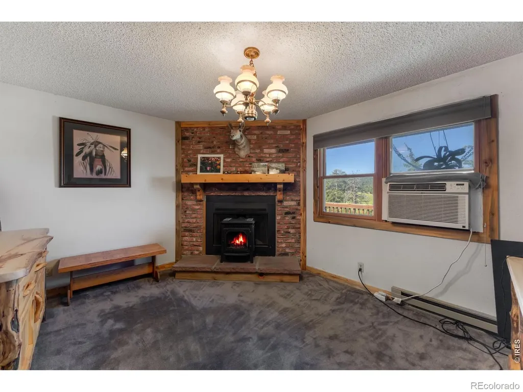 678 Palisade Mountain Drive Drake CO 80515