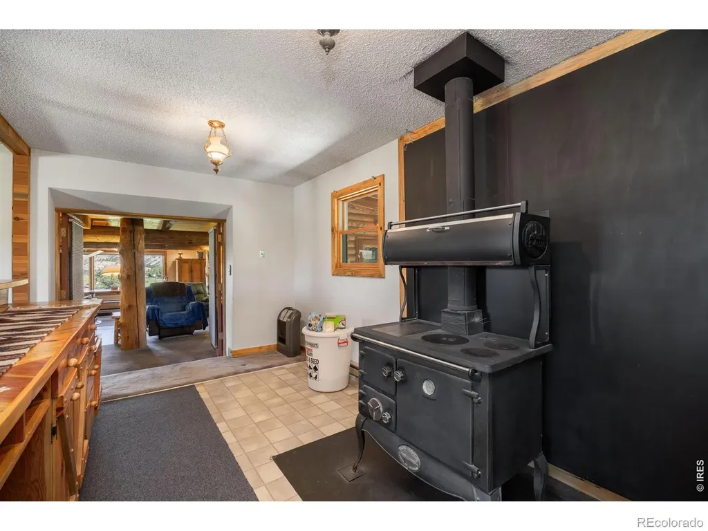 678 Palisade Mountain Drive Drake CO 80515