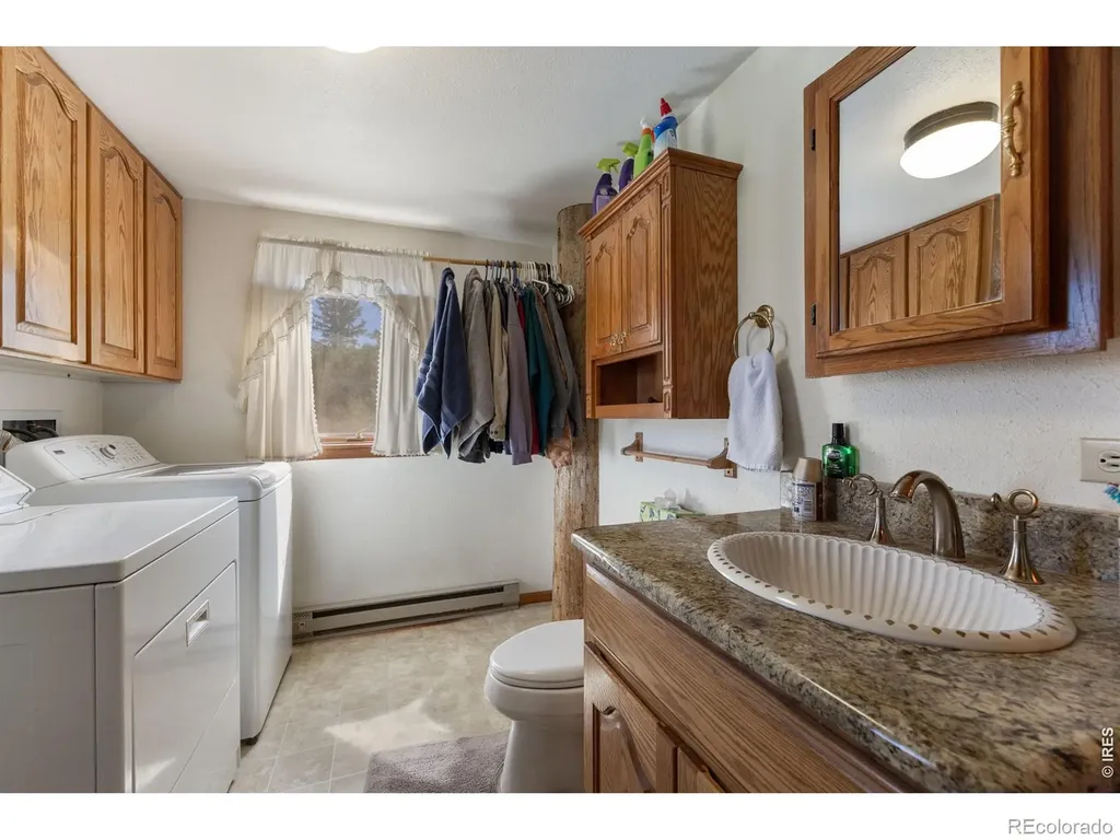 678 Palisade Mountain Drive Drake CO 80515