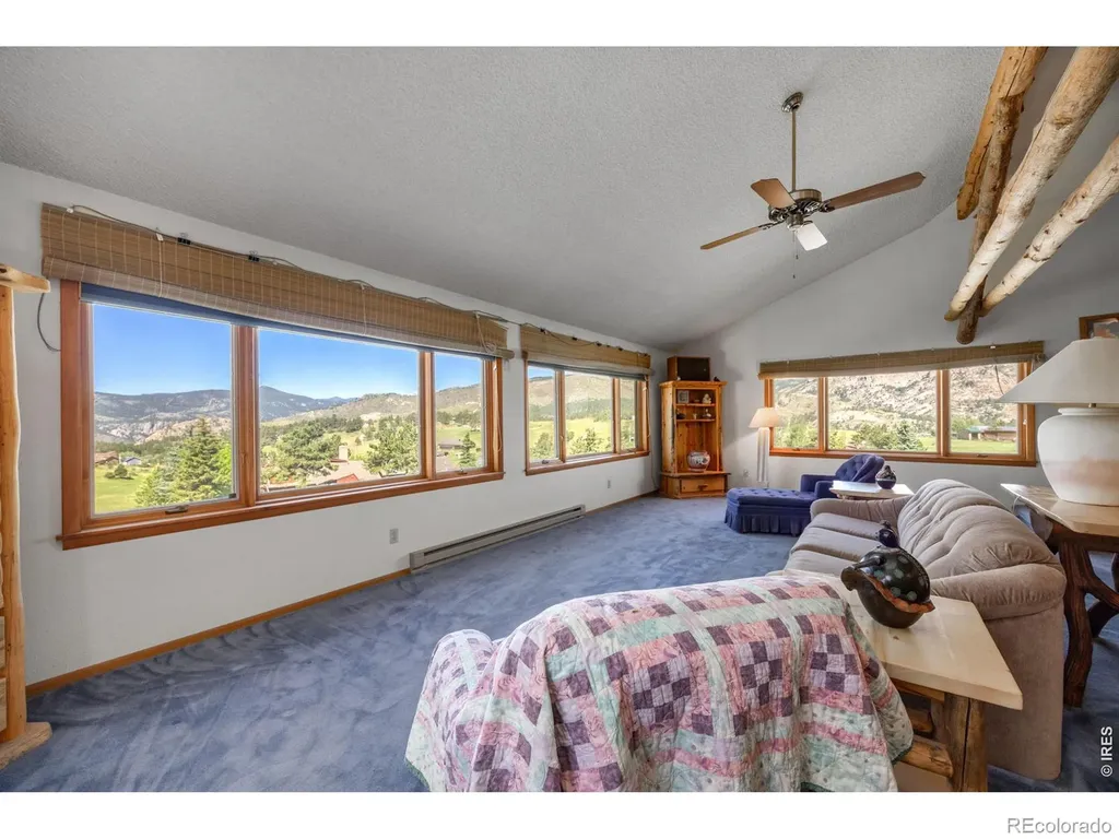 678 Palisade Mountain Drive Drake CO 80515