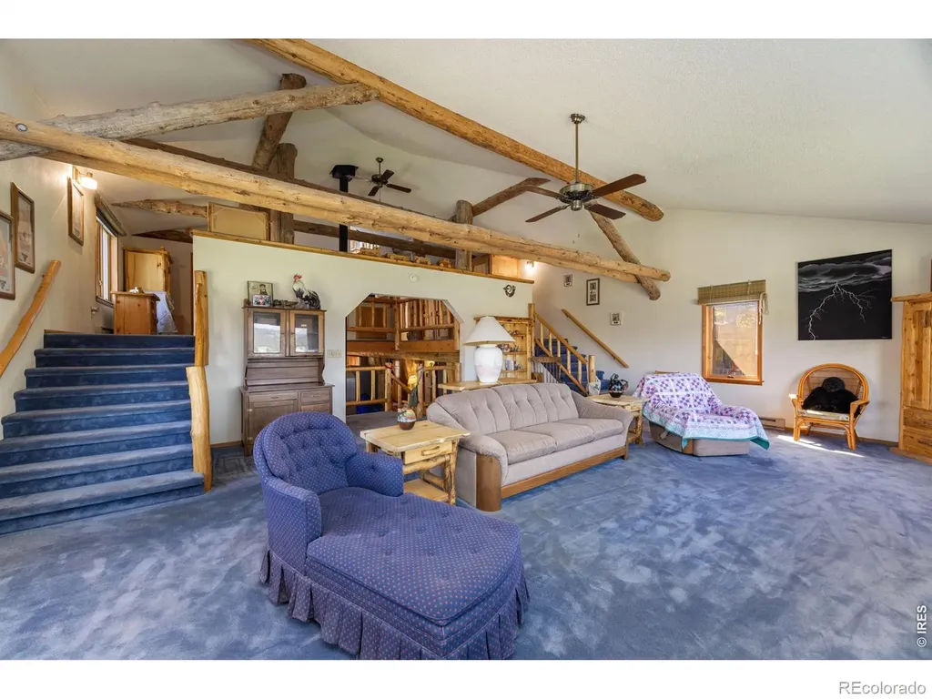 678 Palisade Mountain Drive Drake CO 80515