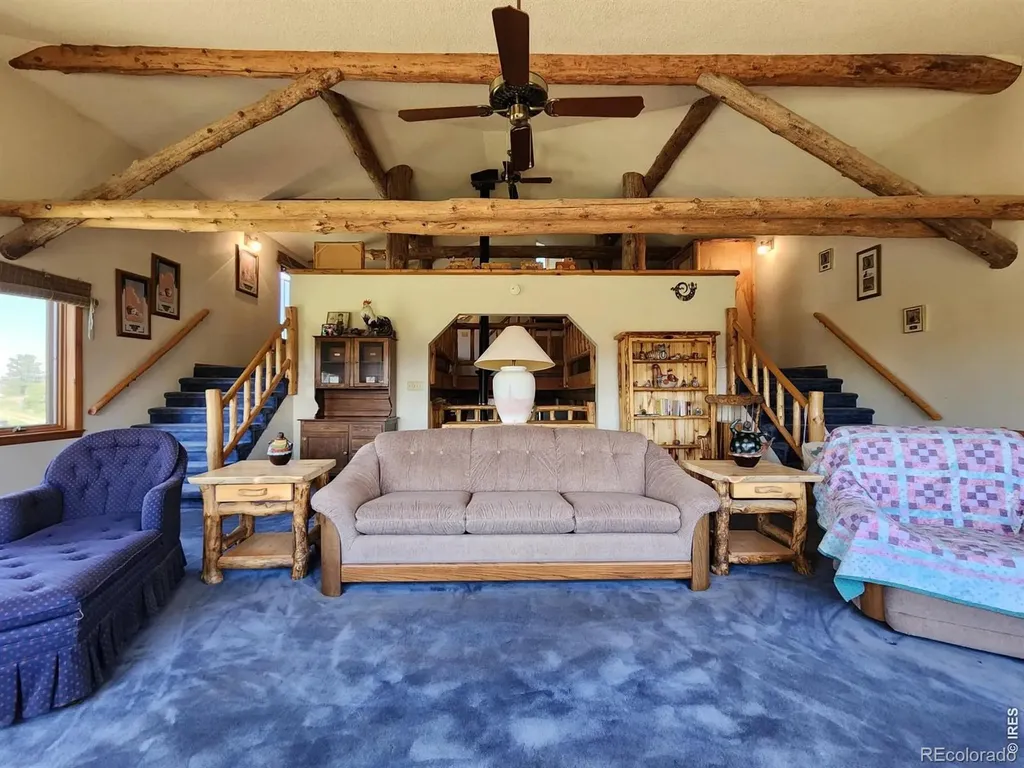 678 Palisade Mountain Drive Drake CO 80515