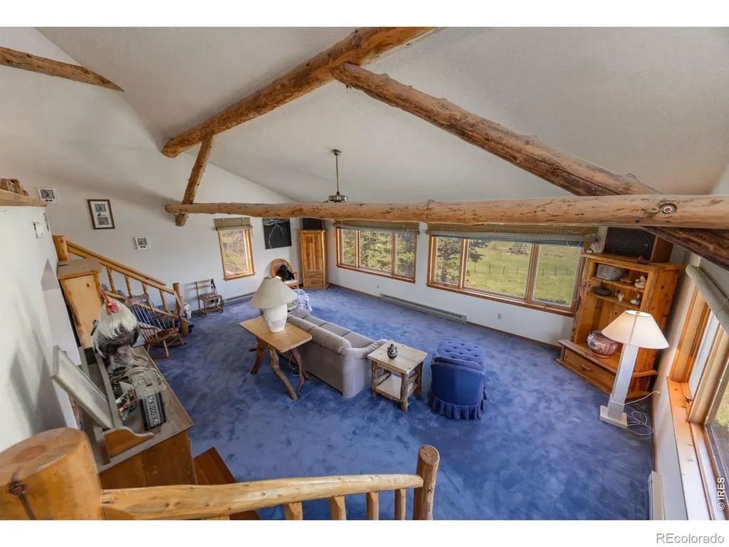 678 Palisade Mountain Drive Drake CO 80515