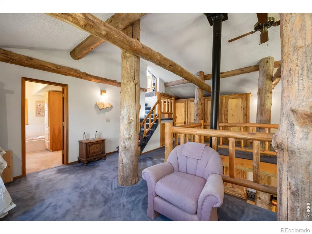 678 Palisade Mountain Drive Drake CO 80515