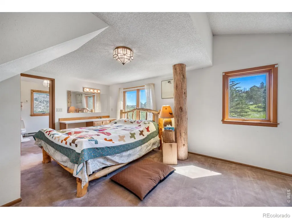 678 Palisade Mountain Drive Drake CO 80515