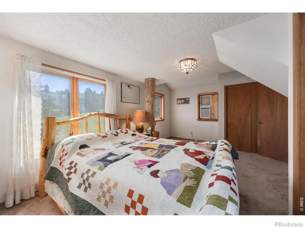 678 Palisade Mountain Drive Drake CO 80515