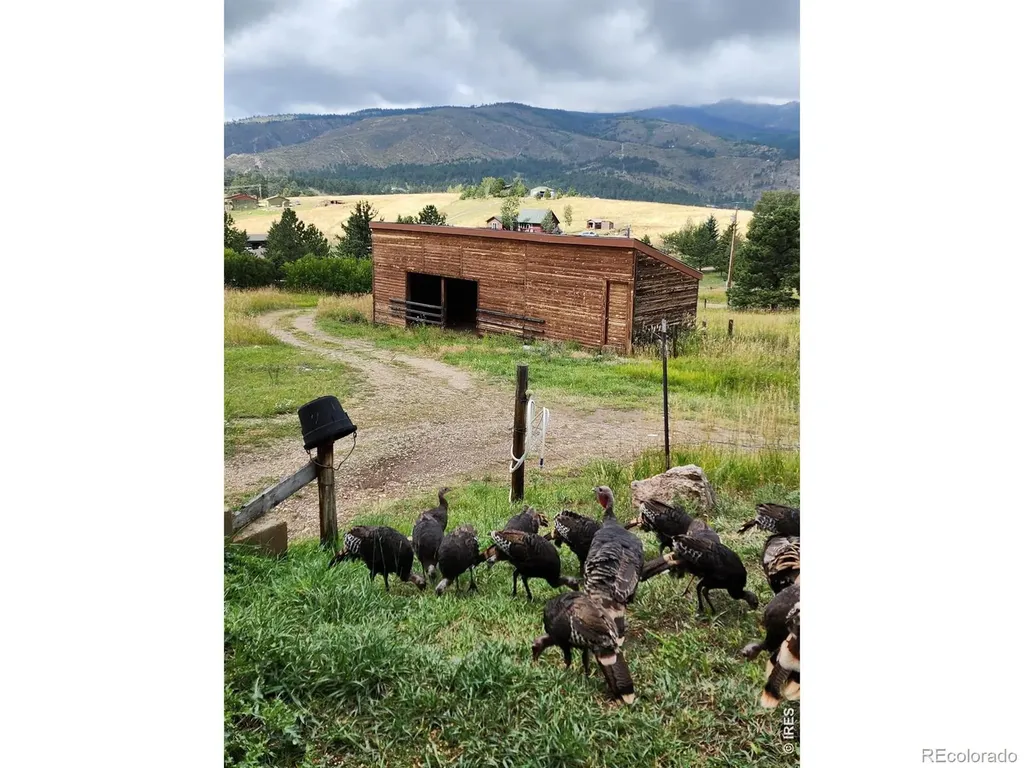 678 Palisade Mountain Drive Drake CO 80515
